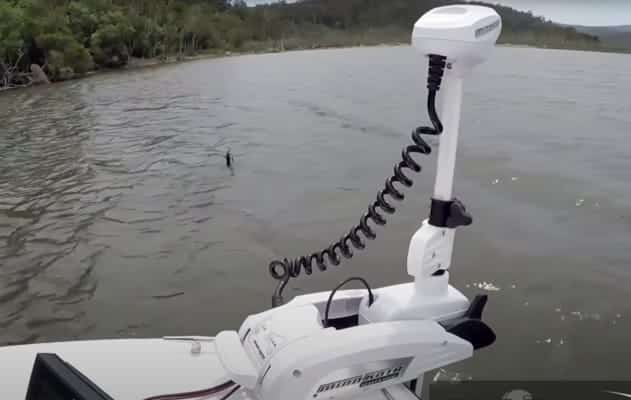 La funzione Spot-Lock in azione (video 2) 1