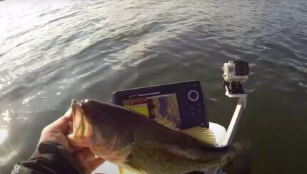 Bass-fishing in Sardegna con Helix 5 SI (by Morvo) 5