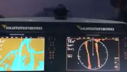 Chart e radar in azione (by Alex Canocia) 6